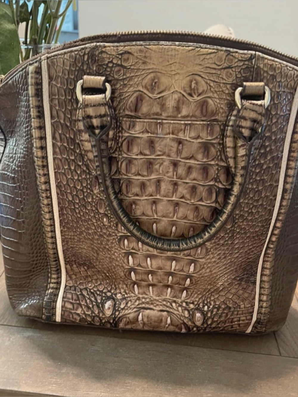 Gorgeous Brahmin Satchel ready for fall. EUC